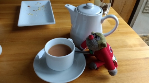 Monkey and tea